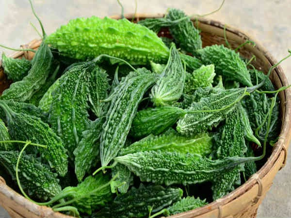 Đầu tiên, phải kể đến lợi ích của mướp đắng đối với sức khỏe. Các chất phytochemical của loại quả này có tác động tích cực đến bệnh tiểu đường, sức khỏe gan, béo phì và nhiều căn bệnh khác.