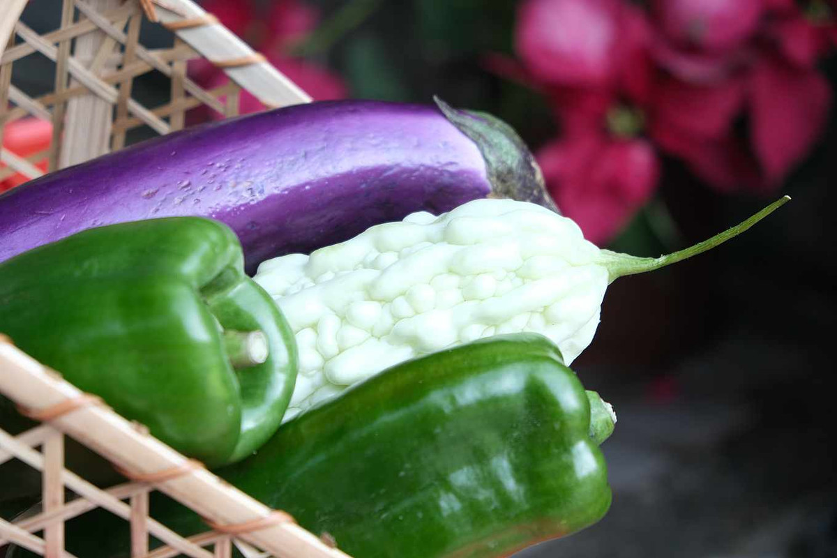 Vậy thứ gì nên ăn cùng mướp đắng? Hãy ăn mướp đắng và ớt xanh. Sự kết hợp này sẽ bổ sung dưỡng chất, có tác dụng chống lão hóa.