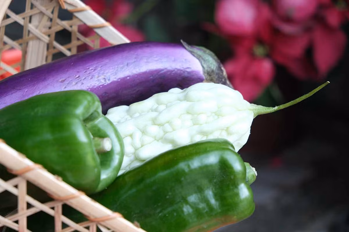 Vậy thứ gì nên ăn cùng mướp đắng? Hãy ăn mướp đắng và ớt xanh. Sự kết hợp này sẽ bổ sung dưỡng chất, có tác dụng chống lão hóa.