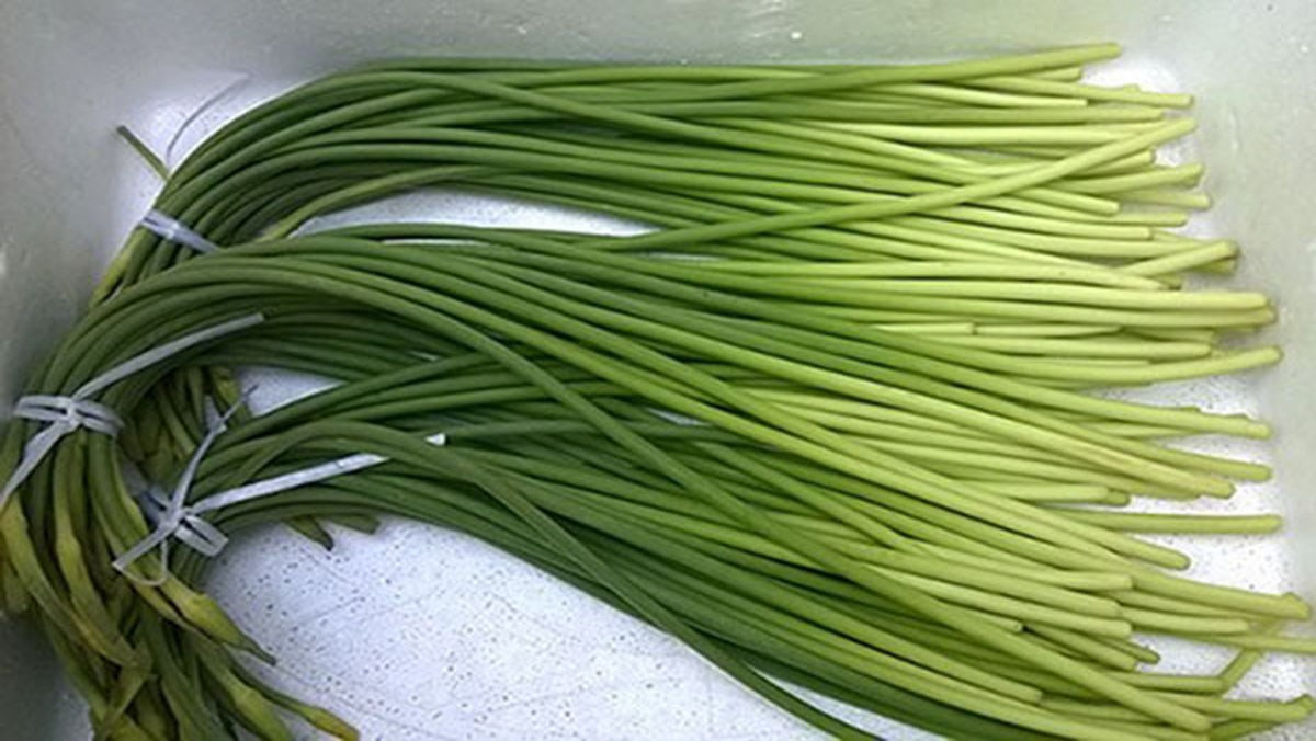 Theo các chuyên gia dinh dưỡng, ngồng tỏi có nhiều lợi ích đối với sức khỏe con người.