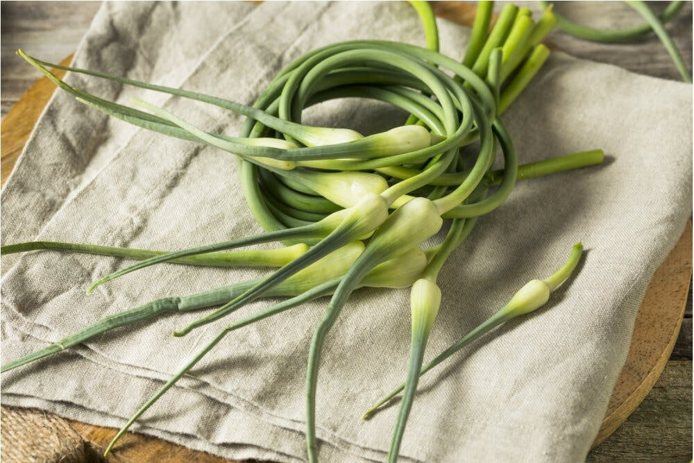 Ngoài ra, loại rau này cũng chứa nhiều khoáng chất như natri, kali, canxi và sắt. Đồng thời, ngồng tỏi cũng rất giàu capsaicin giúp kích thích ăn ngon miệng, giúp chuyển hóa chất thải trong ruột, loại bỏ một số chất độc hại, giảm chướng bụng và hôi miệng.