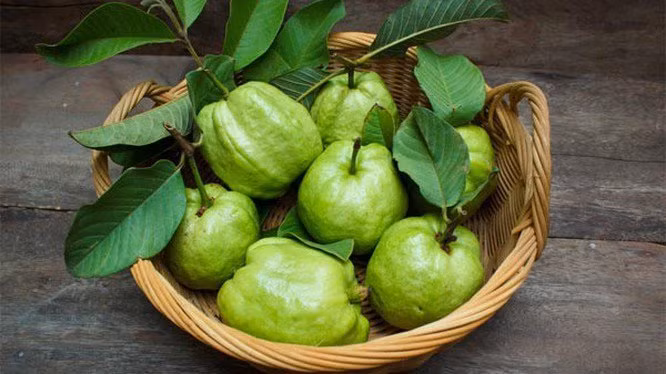 Ổi: Ngăn ngừa hư tổn tóc. Loại trái cây nhiệt đới này rất giàu vitamin C. Nó có thể bảo vệ tóc khỏi hư tổn và giúp tóc khó gãy rụng. Một cốc nước ép ổi chứa 377mg vitamin C, cao gấp bốn lần so với lượng vitamin C tối thiểu được khuyến nghị hàng ngày.