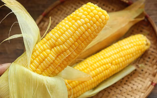 Trong ngô chứa rất nhiều beta-cryptoxanthin - chất chống lại oxy hoá và ung thư hiệu quả. Người ăn nhiều chất này sẽ giảm thiểu đến 27% nguy cơ gây ung thư phổi. Chất xơ trong ngô giúp làm giảm mức cholesterol, nhờ đó giảm được nguy cơ mắc bệnh ung thư ruột kết. Ngoài ra căn bệnh ung thư vú cũng được đẩy lùi.