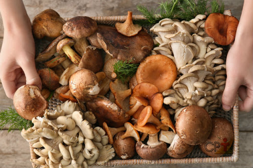 Nhiều loại nấm chứa rất nhiều khoáng chất chống ung thư - selen. Các nghiên cứu đã phát hiện ra rằng chiết xuất từ nấm rơm trắng có thể ức chế sự phân chia của các tế bào ung thư tuyến tiền liệt và làm cho các khối u nhỏ lại. Tuy nhiên nếu bạn bị bệnh gút, tốt nhất là không nên ăn quá nhiều nấm.