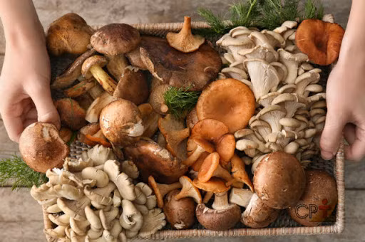 Nhiều loại nấm chứa rất nhiều khoáng chất chống ung thư - selen. Các nghiên cứu đã phát hiện ra rằng chiết xuất từ nấm rơm trắng có thể ức chế sự phân chia của các tế bào ung thư tuyến tiền liệt và làm cho các khối u nhỏ lại. Tuy nhiên nếu bạn bị bệnh gút, tốt nhất là không nên ăn quá nhiều nấm.