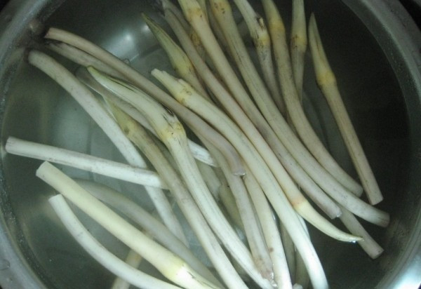 Cũng có nghiên cứu chỉ ra, Tannin, vitamin K trong ngó sen có tác dụng cải thiện các bệnh về gan như bệnh phì đại gan và bệnh gan nhiễm mỡ không do rượu.