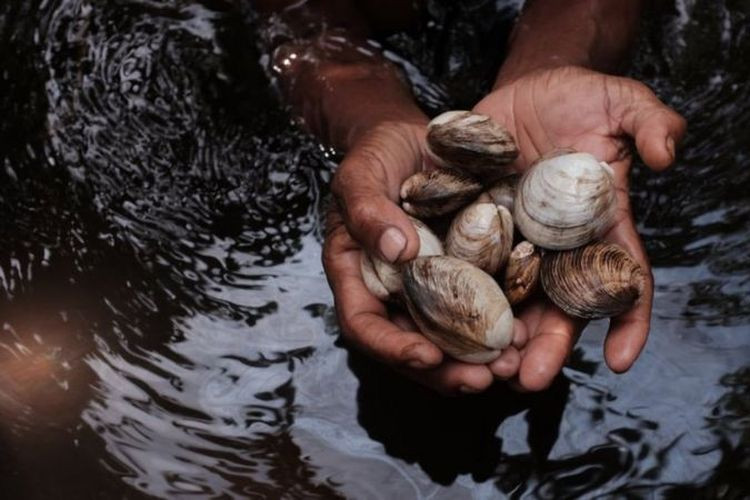 Phụ nữ có thể ra vào trong rừng thoải mái nhưng đàn ông thì không. Nếu cố tình đột nhập và nhìn trộm phụ nữ trong khu rừng này, những người đàn ông có thể bị phạt tới 1 triệu rupiah.