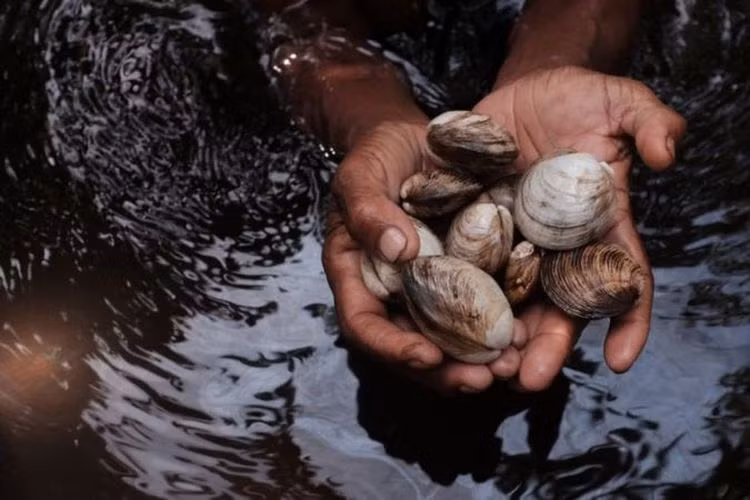 Phụ nữ có thể ra vào trong rừng thoải mái nhưng đàn ông thì không. Nếu cố tình đột nhập và nhìn trộm phụ nữ trong khu rừng này, những người đàn ông có thể bị phạt tới 1 triệu rupiah.