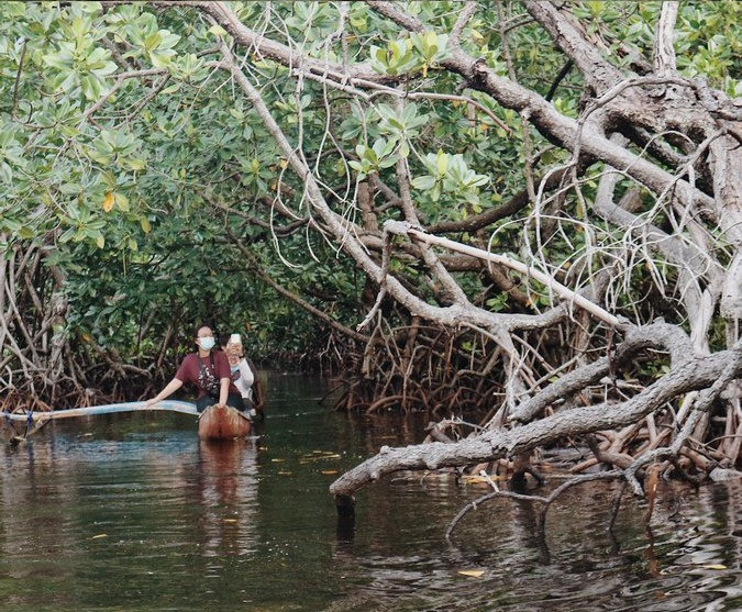 Rừng ngập mặn đã trở thành nơi chứa đầy rác và muỗi. Thậm chí xác động vật trôi nổi trên mặt nước bốc mùi ghê rợn.