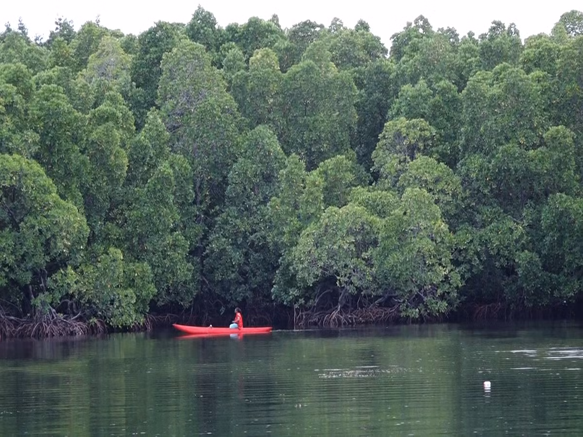 Chất lượng nước độc hại cũng khiến làn da của những phụ nữ khỏa thân cảm thấy ngứa ngáy và các triệu chứng khó chịu khác.