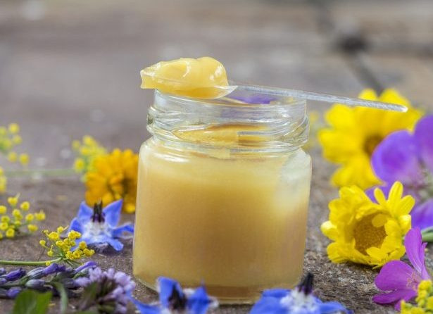 Vậy, ăn quá nhiều sữa ong chúa có thực sự gây ung thư vú? Sữa ong chúa có chứa estrogen nhưng hàm lượng estrogen trong sữa ong chúa không mang lại nguy cơ cho sức khỏe.