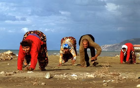 Ngoài ra, họ còn mắc chứng loạn sản tiểu não, rối loạn thăng bằng do cả hai gia đình đều kết hôn cận huyết.