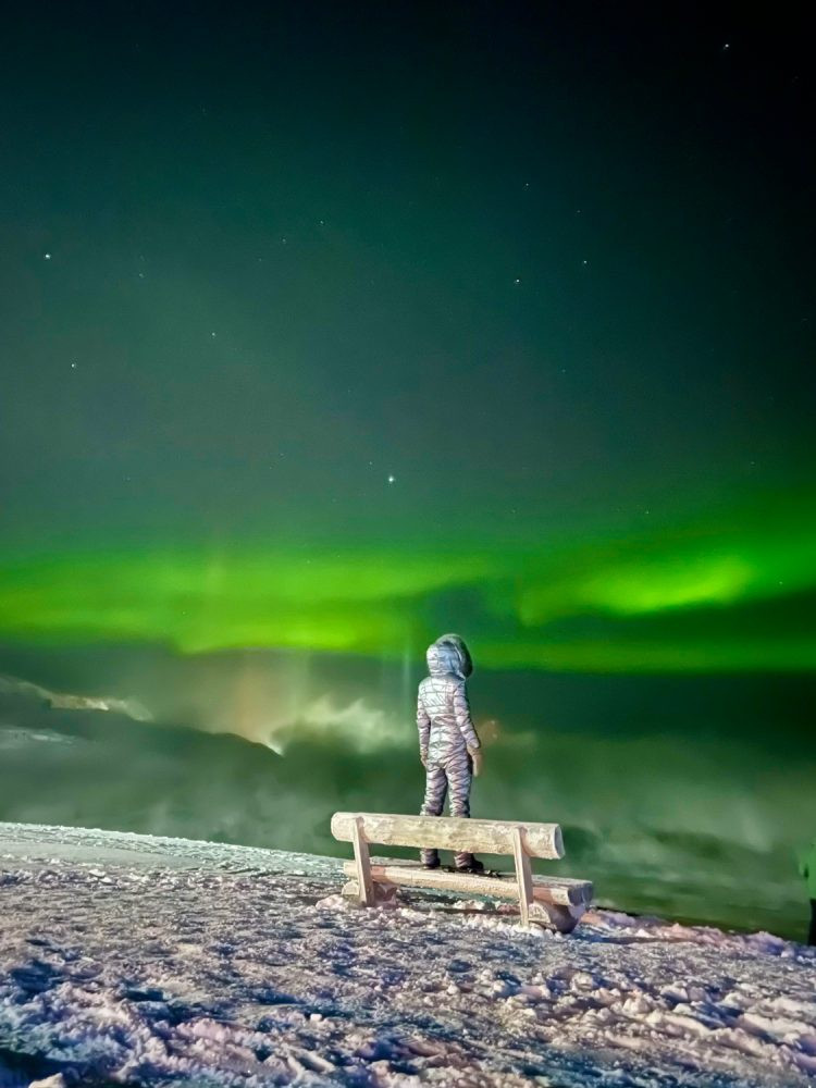 Smartphone cao cấp nhất của Apple hiện nay, iPhone 12 Pro Max giành chiến thắng ở hạng mục Du lịch. Bức ảnh có tên Magic of Aurora Borealis do tác giả Tatiana Merzlyakova (Nga) chụp tại Teriberka, một vùng nông thôn hẻo lánh ở Tây Bắc của nước này.