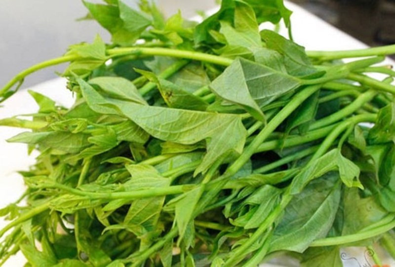 Ngoài ra, rau khoai lang rất giàu vitamin, ion canxi, ion sắt,… giúp ngăn ngừa các triệu chứng như thiếu máu, táo bón. Không chỉ thế, người ta còn phát hiện trong rau khoai lang có chứa một loại protein có hoạt tính giống 1/3 cách thức hoạt động của chất glutathione - chất quan trọng trong việc chống oxy hóa cho cơ thể.