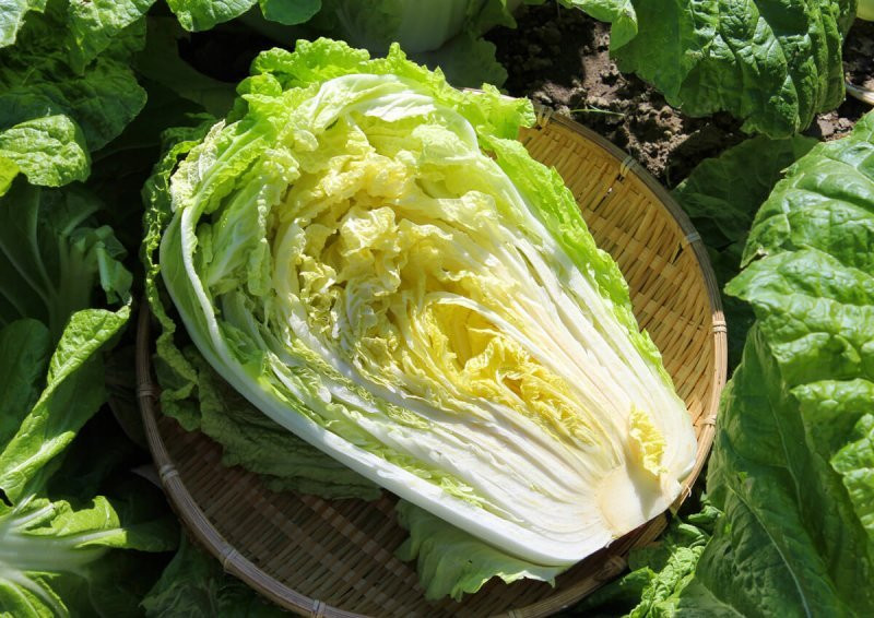 Thay loai cai thao nay, re den dau cung tuyet doi khong mua, khong an-Hinh-10