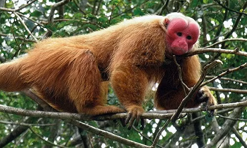 Quang Binh tiep nhan cuu ho khi mat do quy hiem