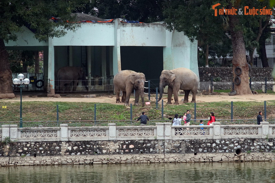 Ngược dòng lịch sử, Công viên Thủ Lệ được khởi công vào dịp kỷ niệm sinh nhật Bác Hồ, ngày 19/5/1975. Công trình tọa lạc trên diện tích 29ha, phần lớn dựa vào thế đất tự nhiên, trong đó 6ha là hồ nước.