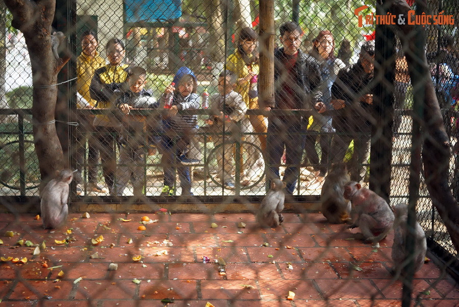 Trên phương diện du lịch, kể từ sau khi hình thành cho đến nay, Công viên Thủ Lệ - Vườn Thú Hà Nội đã trở thành điểm đến thu hút đông đảo nhân dân Thủ đô cùng du khách trong và ngoài nước.