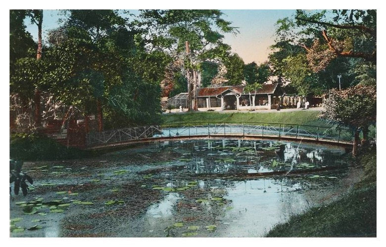 Hồ sen trong Thảo Cầm Viên.