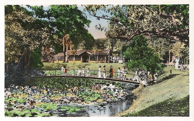 Du khách bước qua cây cầu bắc qua hồ sen vào mùa sen nở.