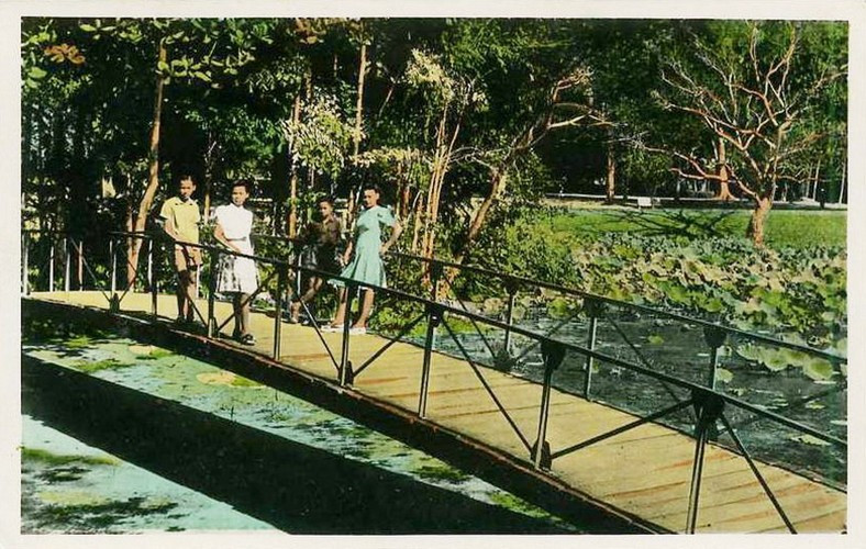 Những đứa trẻ trên cây cầu ở hồ sen.