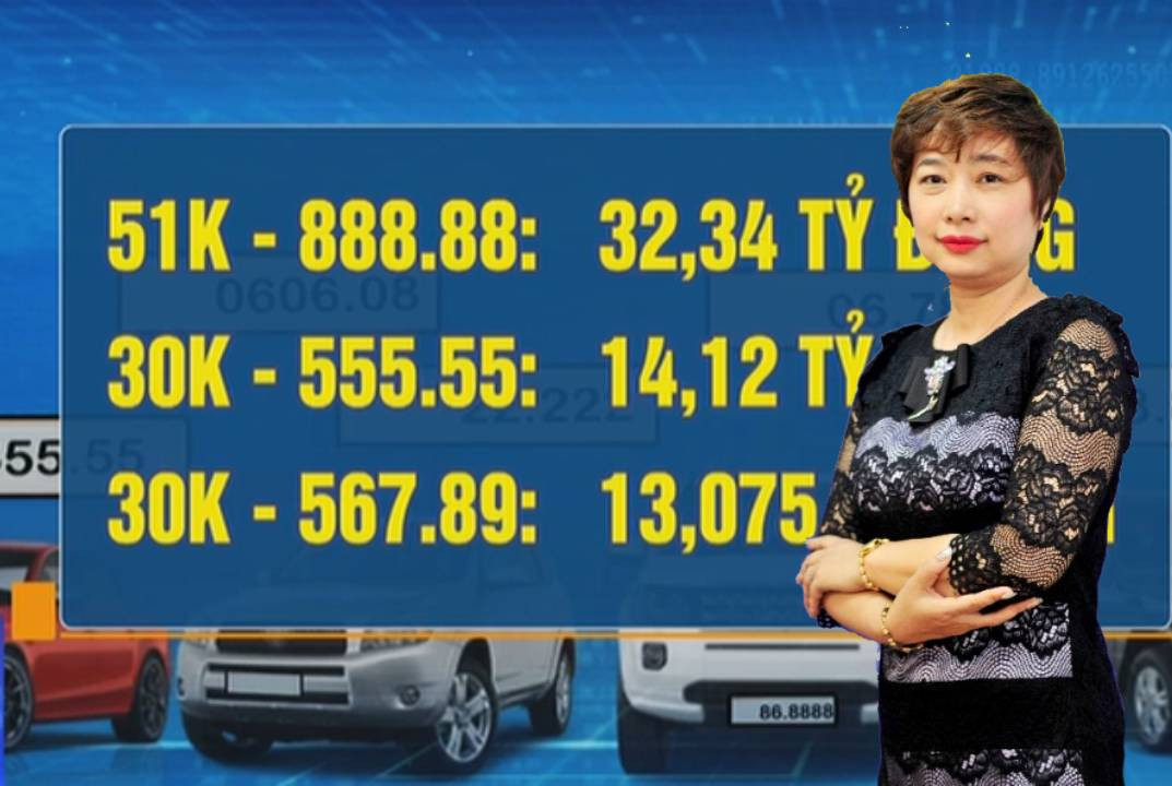 Nên mở ví trên website để hạn chế bỏ cọc đấu giá biển số xe Nen mo vi tren website de han che bo coc dau gia bien so xe