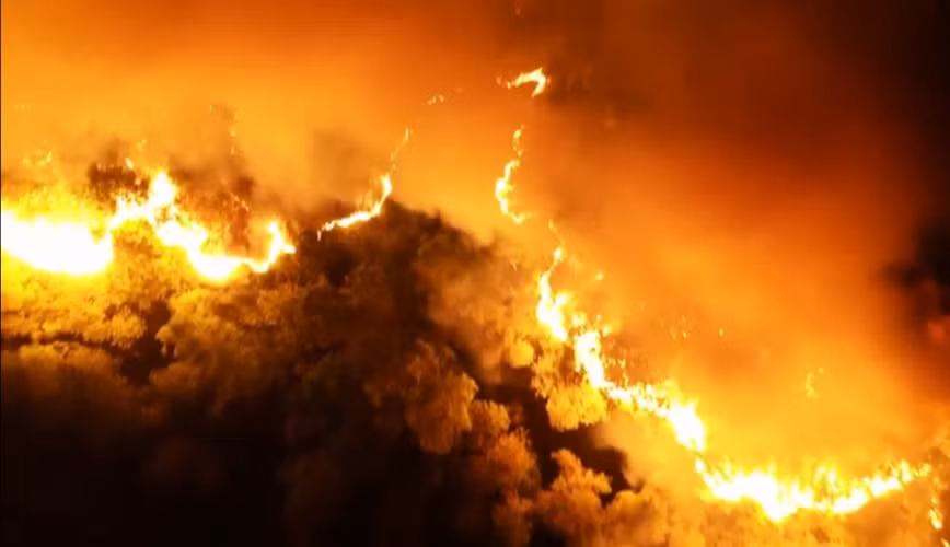 Chay rung: Xot xa sau bien lua