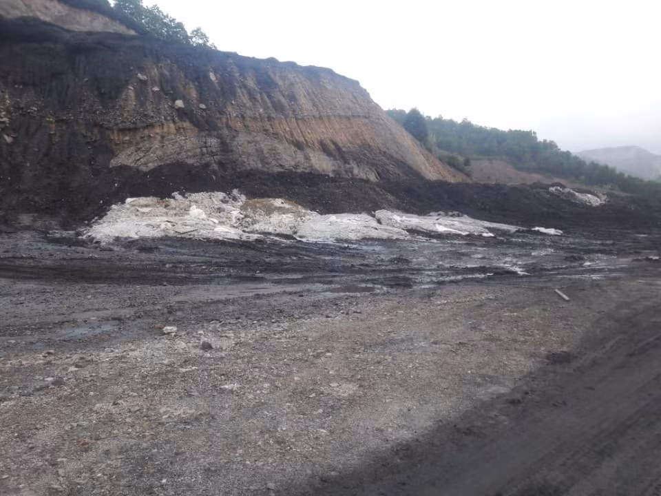 Khon kho vi ruoi nhang, mui hoi thoi tu du an xu ly chat thai cong ty Indevco-Hinh-4