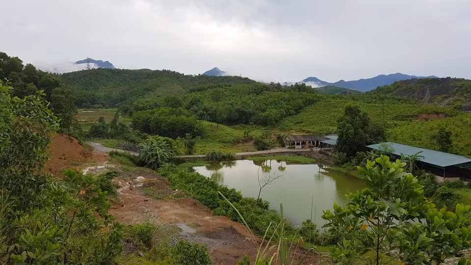 Khon kho vi ruoi nhang, mui hoi thoi tu du an xu ly chat thai cong ty Indevco-Hinh-9