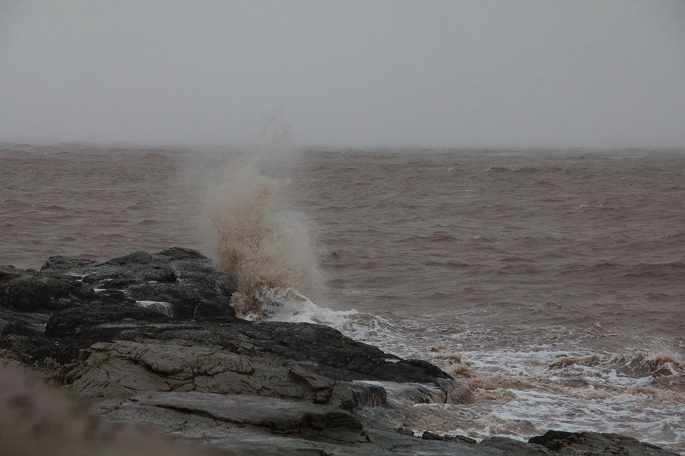 Bão số 2 Mun suy yếu: Hàng loạt cây xanh vẫn bị quật đổ Bao so 2 Mun suy yeu: Hang loat cay xanh van bi quat do