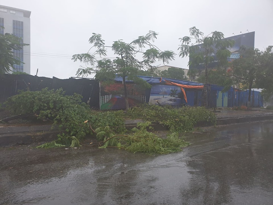 Trên đất liền các tỉnh đồng bằng Bắc Bộ có gió mạnh cấp 5, vùng gần tâm áp thấp nhiệt đới đi qua mạnh cấp 6, giật cấp 7. Trong ngày hôm nay (4/7), ở Thanh Hóa và khu vực Tây Bắc Nghệ An có mưa rất to (lượng mưa phổ biến 40-80mm/12 giờ, có nơi trên 100mm/12 giờ); từ đêm nay mưa giảm. Trong ngày và đêm nay, ở các tỉnh Hòa Bình, Sơn La, khu vực đồng bằng Bắc Bộ và Đông Bắc có mưa to đến rất to (lượng mưa phổ biến 50-150mm/24 giờ, có nơi trên 150mm/24 giờ); vùng núi Bắc Bộ có mưa to (lượng mưa phổ biến 50-100mm/ 24 giờ, có nơi trên 150mm/24 giờ).