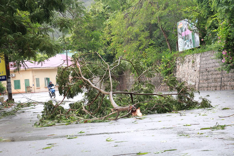 Theo Trung tâm dự báo Khí tượng thủy văn Trung ương, Ở khu vực Vịnh Bắc Bộ (bao gồm các huyện đảo Bạch Long Vĩ, Cô Tô, Cát Hải, Vân Đồn) trong sáng nay còn có gió mạnh cấp 6-7, giật cấp 8. Biển động mạnh.
