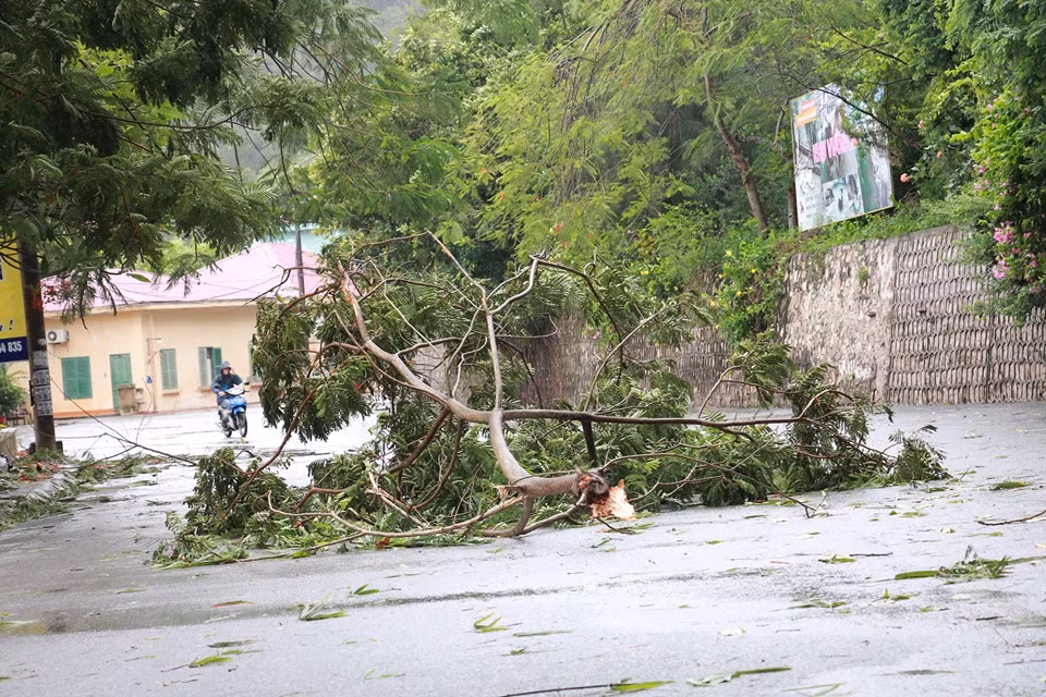 Theo Trung tâm dự báo Khí tượng thủy văn Trung ương, Ở khu vực Vịnh Bắc Bộ (bao gồm các huyện đảo Bạch Long Vĩ, Cô Tô, Cát Hải, Vân Đồn) trong sáng nay còn có gió mạnh cấp 6-7, giật cấp 8. Biển động mạnh.