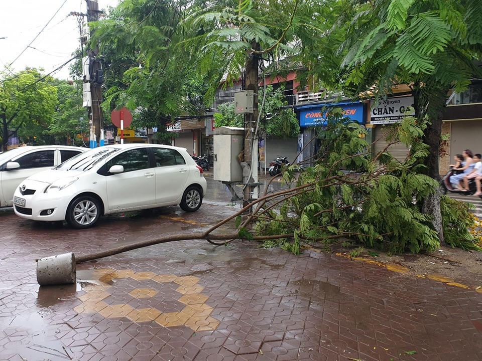 Cành cây ngổn ngang trên đường do ảnh hưởng cơn bão số 2 Mun.