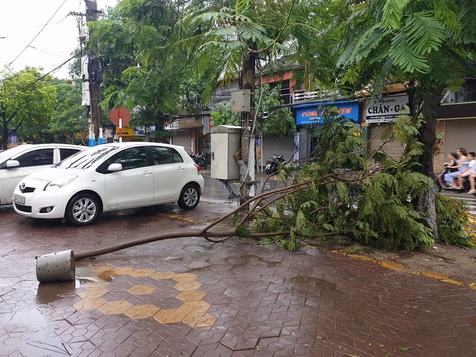 Cành cây ngổn ngang trên đường do ảnh hưởng cơn bão số 2 Mun.