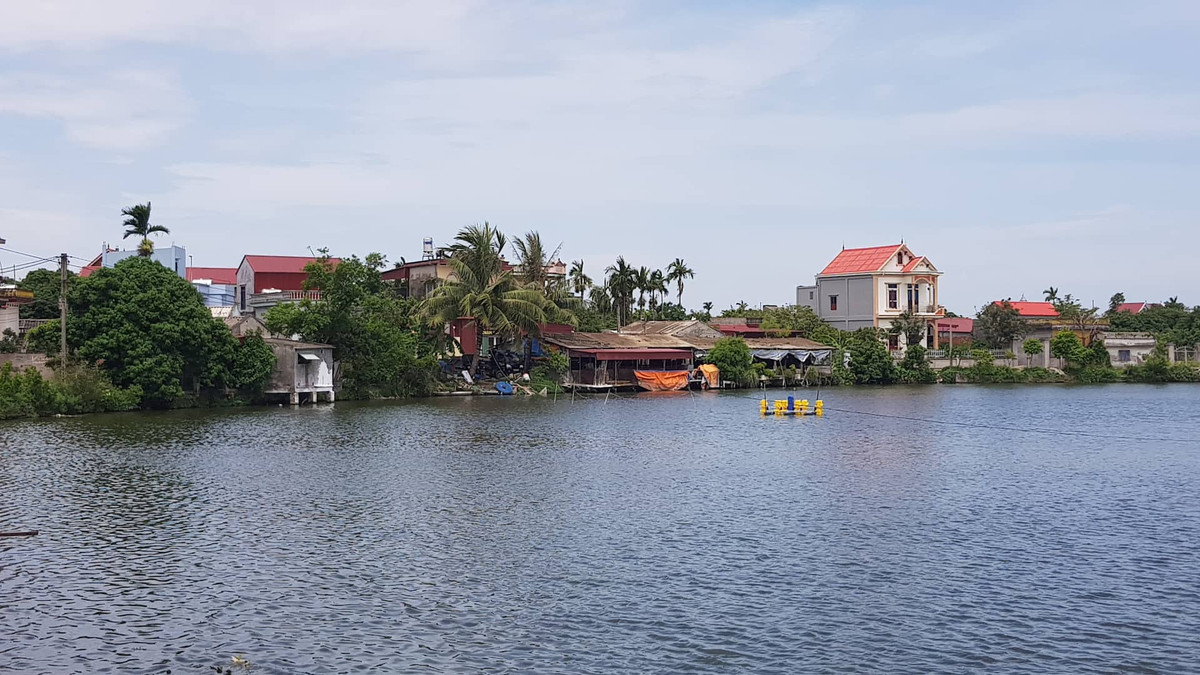 Hai Duong: Ho Bong Lai bi 