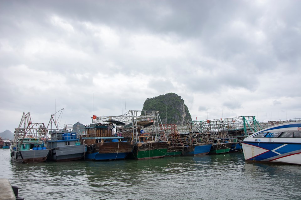 Bao so 2 Mun ap sat dat lien: Quang Ninh dung hop, Hai Phong keu goi tau thuyen ve tranh tru-Hinh-3
