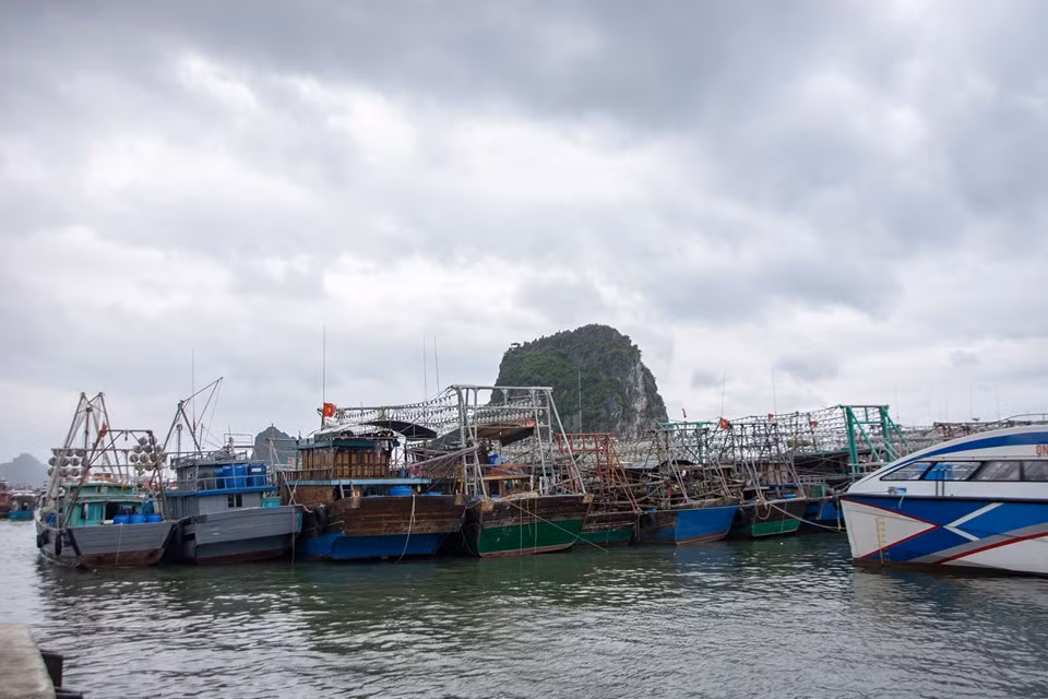 Bao so 2 Mun ap sat dat lien: Quang Ninh dung hop, Hai Phong keu goi tau thuyen ve tranh tru-Hinh-3