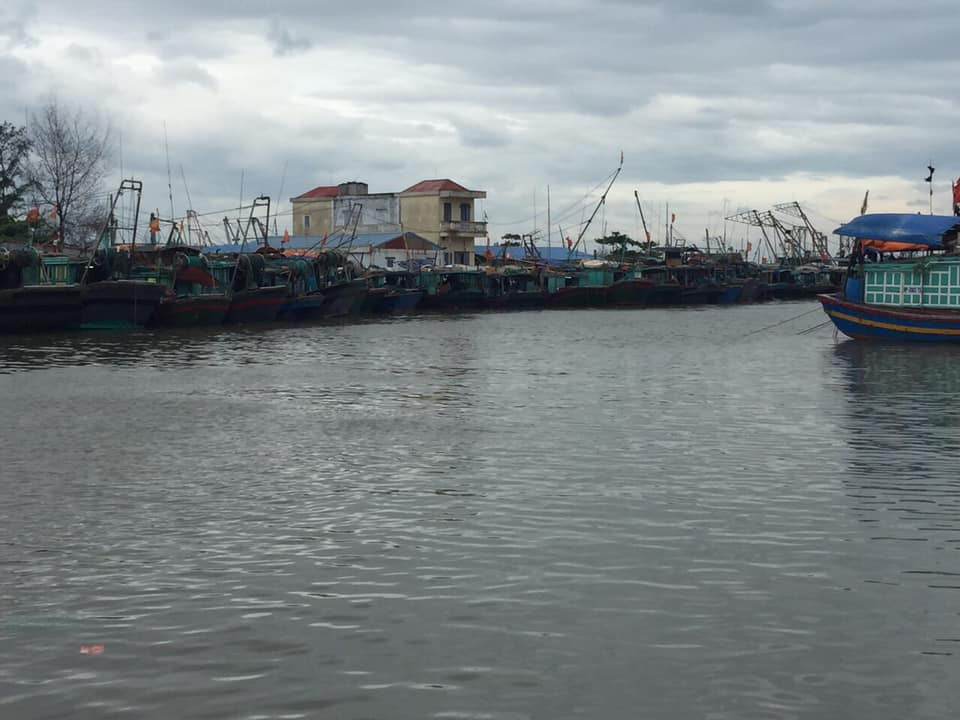 Bao so 2 Mun ap sat dat lien: Quang Ninh dung hop, Hai Phong keu goi tau thuyen ve tranh tru-Hinh-5