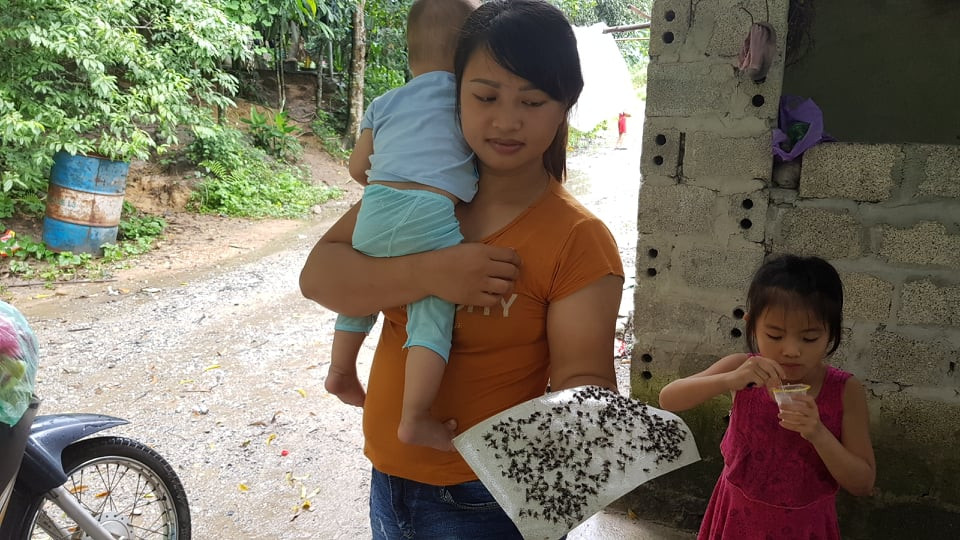 Bai rac Indevco gay o nhiem: Dan to co co so, chinh quyen vao cuoc-Hinh-3