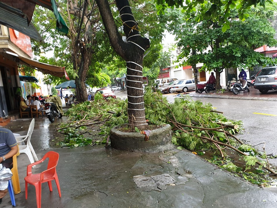 Những cành cây lấp đầy vỉa hè trên các tuyến phố.