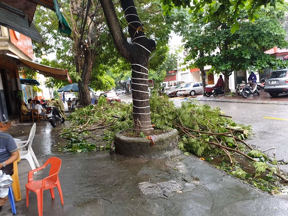 Những cành cây lấp đầy vỉa hè trên các tuyến phố.