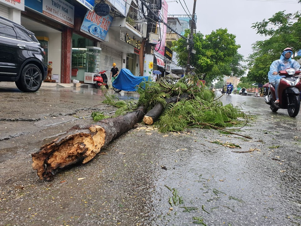 Và nằm ngổn ngang trên đường.
