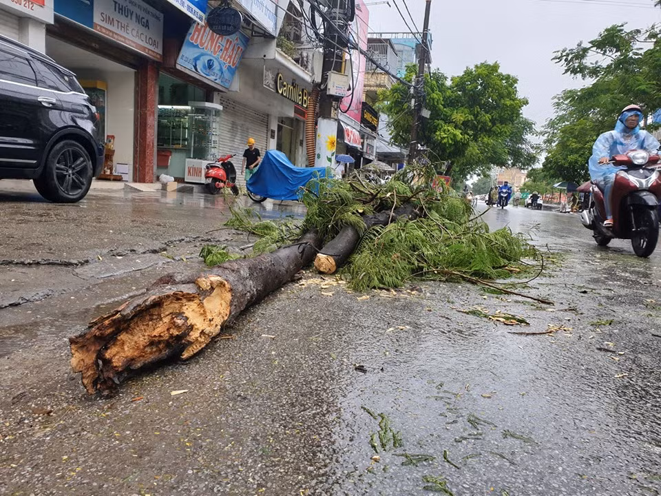 Và nằm ngổn ngang trên đường.