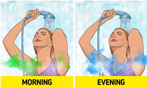  Ngăn ngừa đổ nhiều mồ hôi: Ưu điểm tắm buổi sáng là giúp bạn tỉnh táo để bắt đầu ngày mới. Vậy nhưng, tắm buổi tối mới thực sự mang lại hiệu quả ngăn ngừa mùi cơ thể. Thật vậy, tắm nước mát trước khi ngủ giúp giảm tình trạng đổ mồ hôi, khiến cơ thể không “nặng mùi” khi thức dậy buổi sáng.