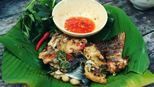 Tại một số trang trại, người dân còn nuôi cá da trơn (cá trê) ngay dưới chuồng nuôi heo hay vịt gà, có thể tiết kiệm được lượng thức ăn không nhỏ.