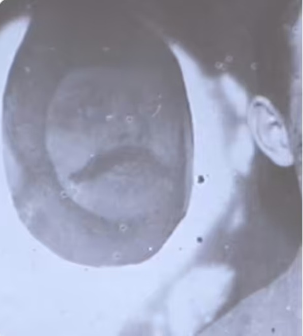 Hiện nay, 4 bức ảnh được cho là chụp ma của một nhiếp ảnh gia vô danh sẽ được bán đấu giá vào ngày 30 tháng 7 tới đây. Chúng được bán với mức giá ước tính từ 400 đến 600 bảng Anh.