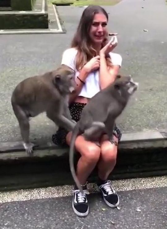 Hai chu khi lam chuyen ay ngay tren dui du khach khien thieu nu muon...