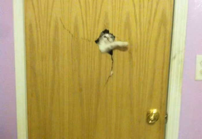 Khi cầu xin không còn tác dụng, đành phải tự thân vận động vậy.