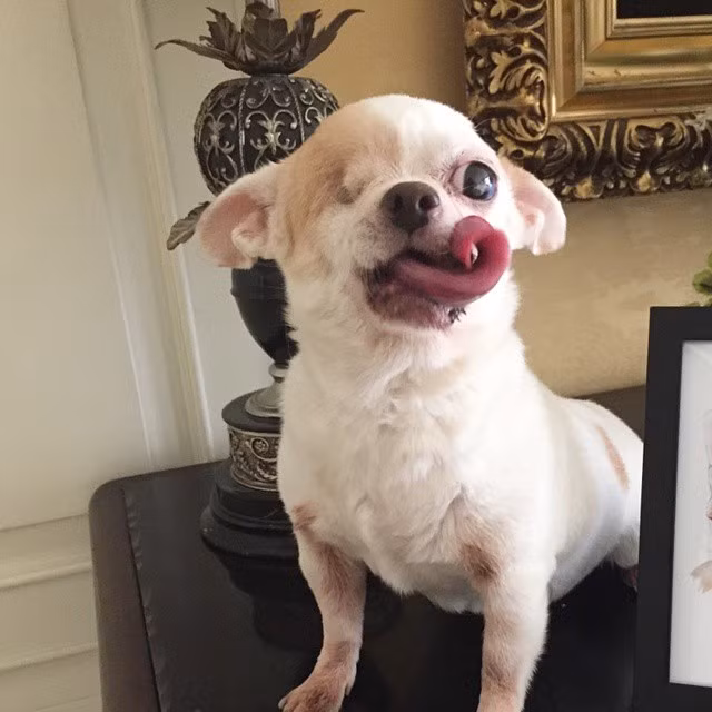 Trái lại cô nàng cướp biển này có một cuộc sống vô cùng vui vẻ và hạnh phúc.